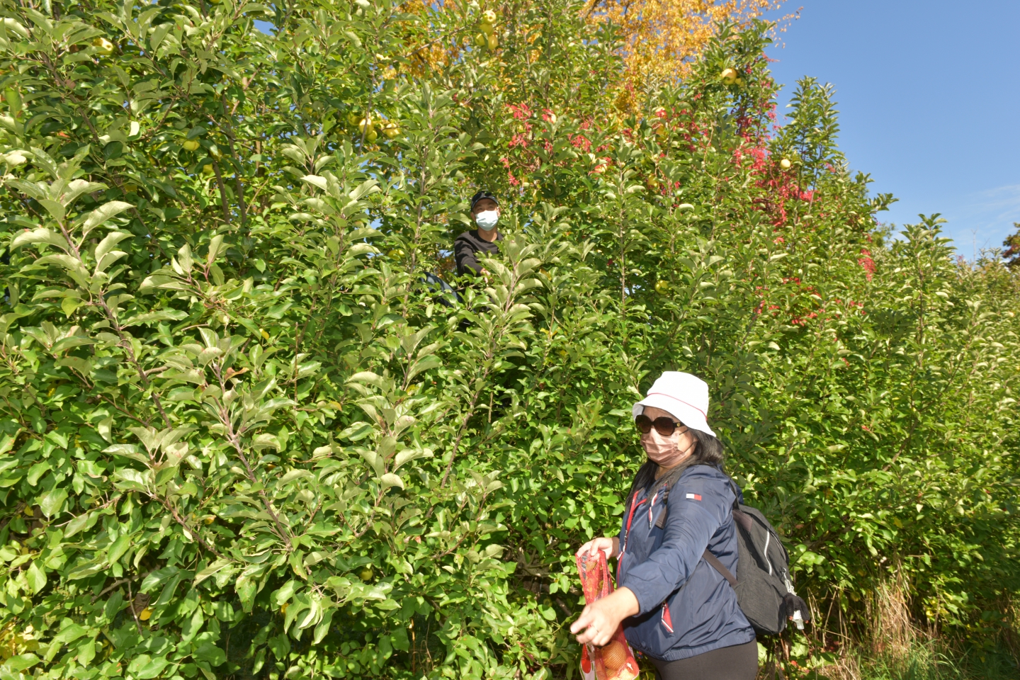 DSC_5915.JPG