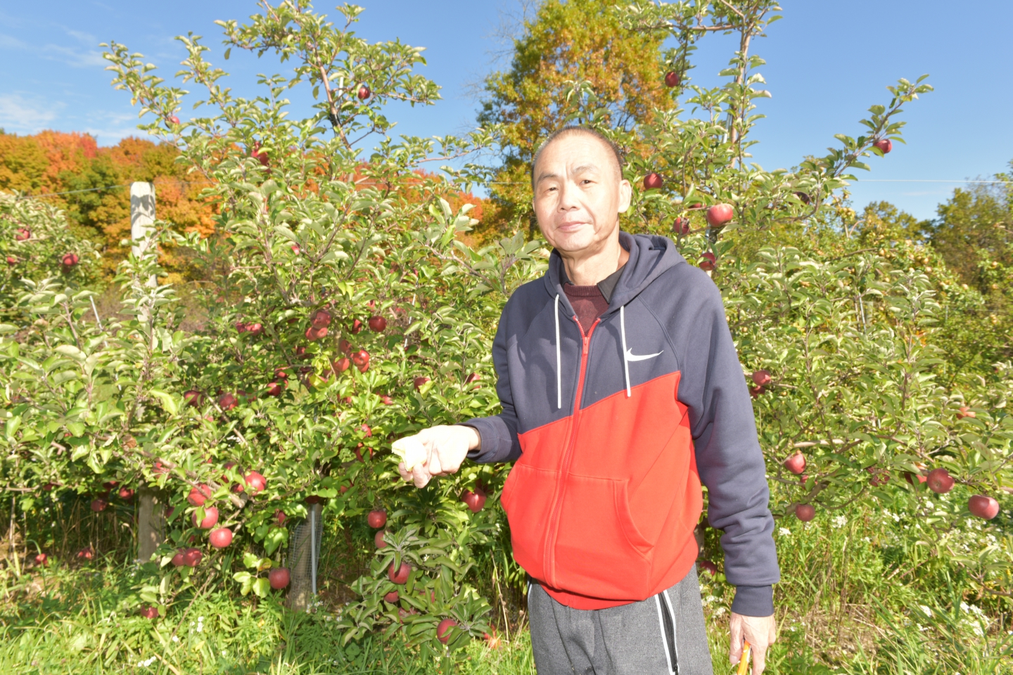 DSC_5937.JPG