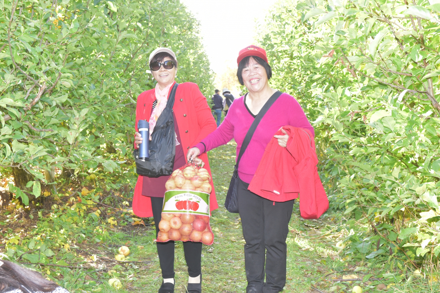 DSC_5953.JPG
