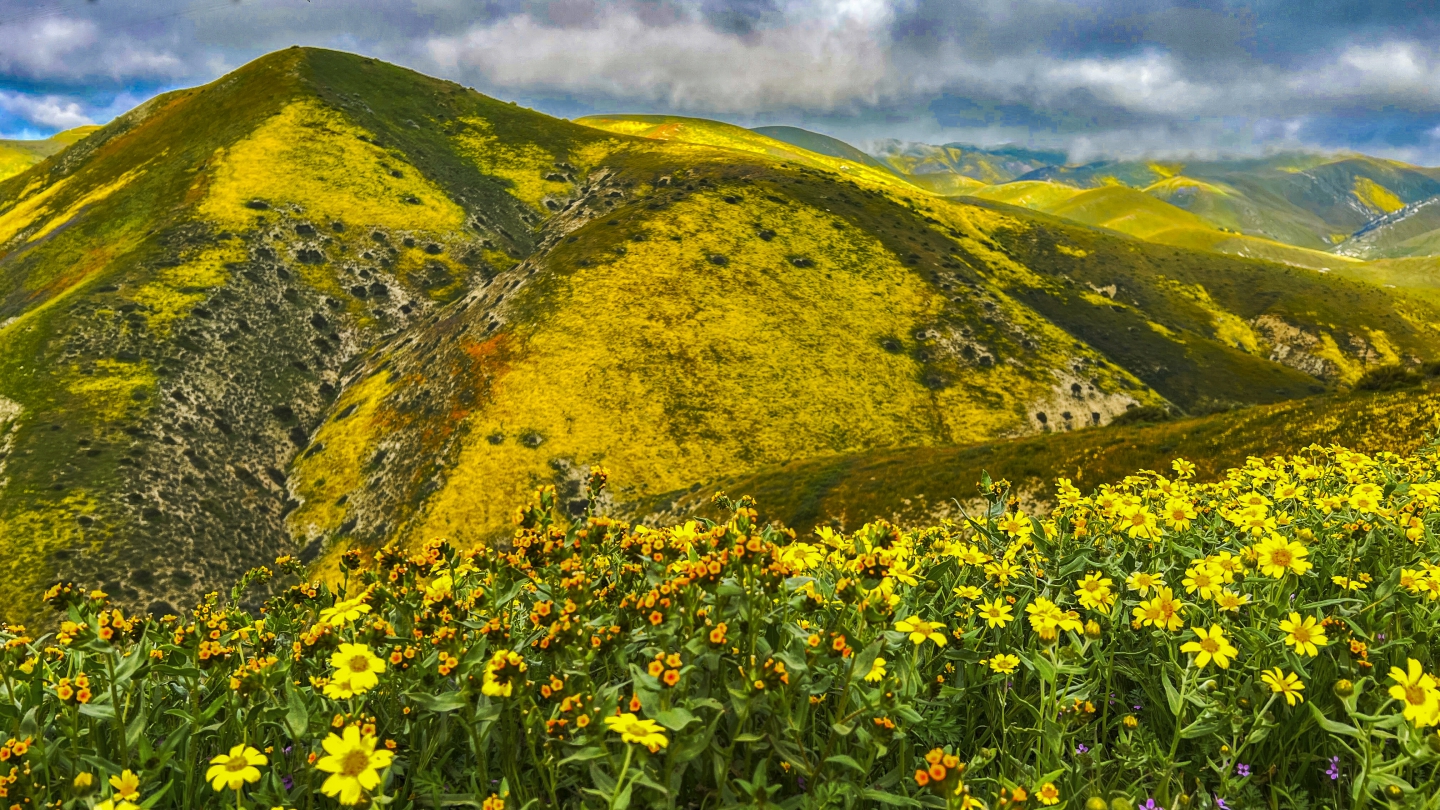 2023_04 Carrizo Plain_1015.JPG