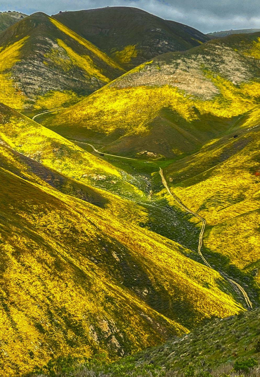 2023_04 Carrizo Plain_1016.JPG