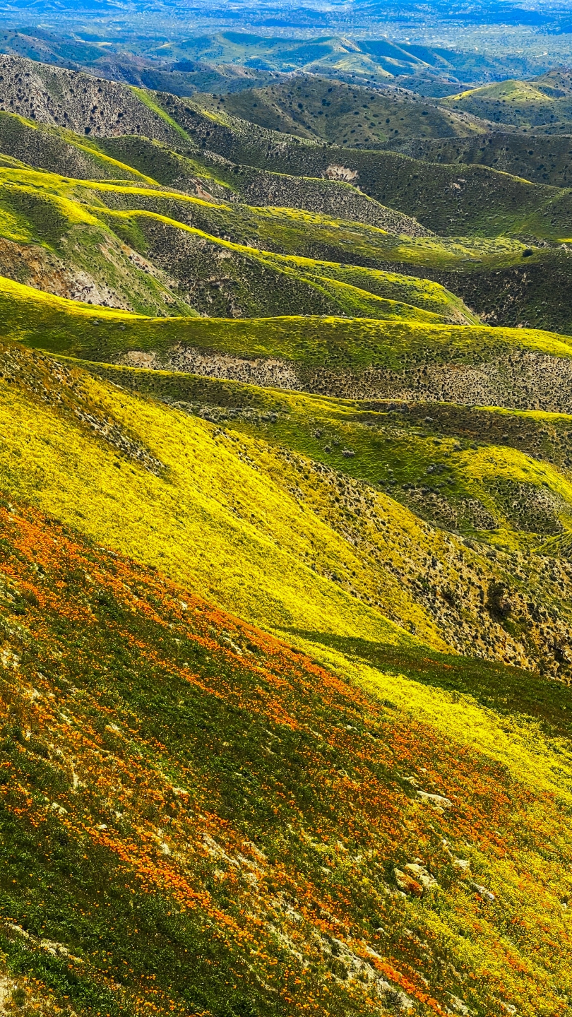 2023_04 Carrizo Plain_1017.JPG