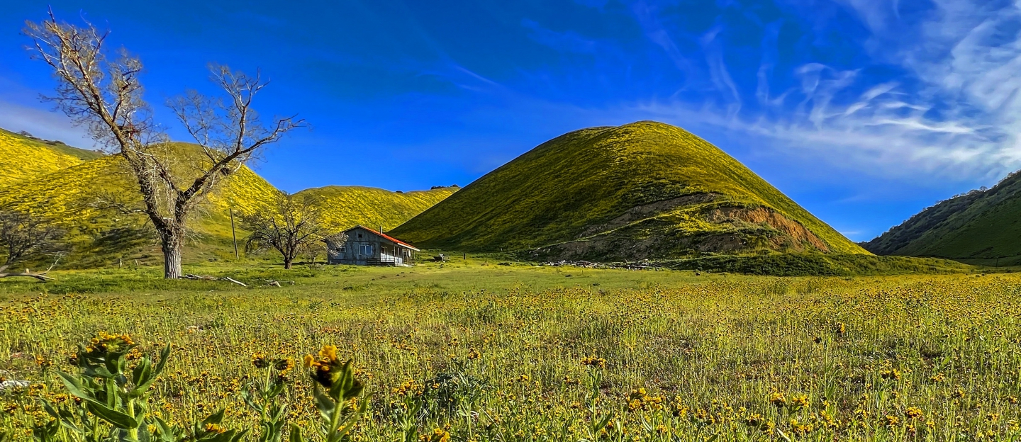 2023_04 Carrizo Plain_1020.jpg