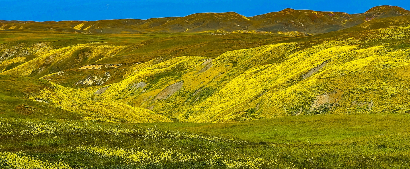 2023_04 Carrizo Plain_1021.jpg