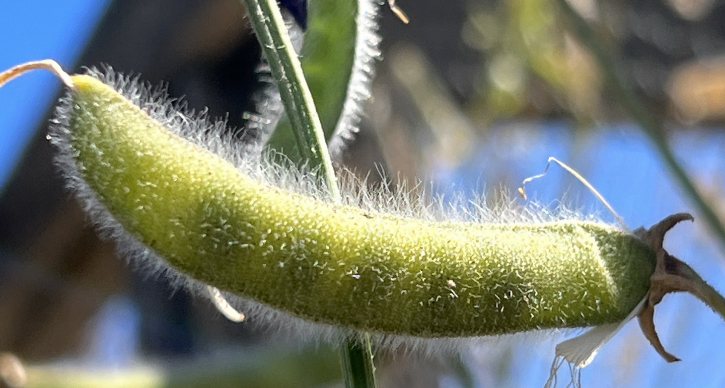 filoli_1008.jpg