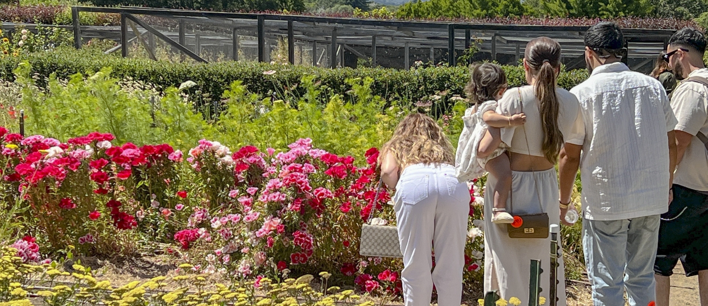 filoli_2016.jpg