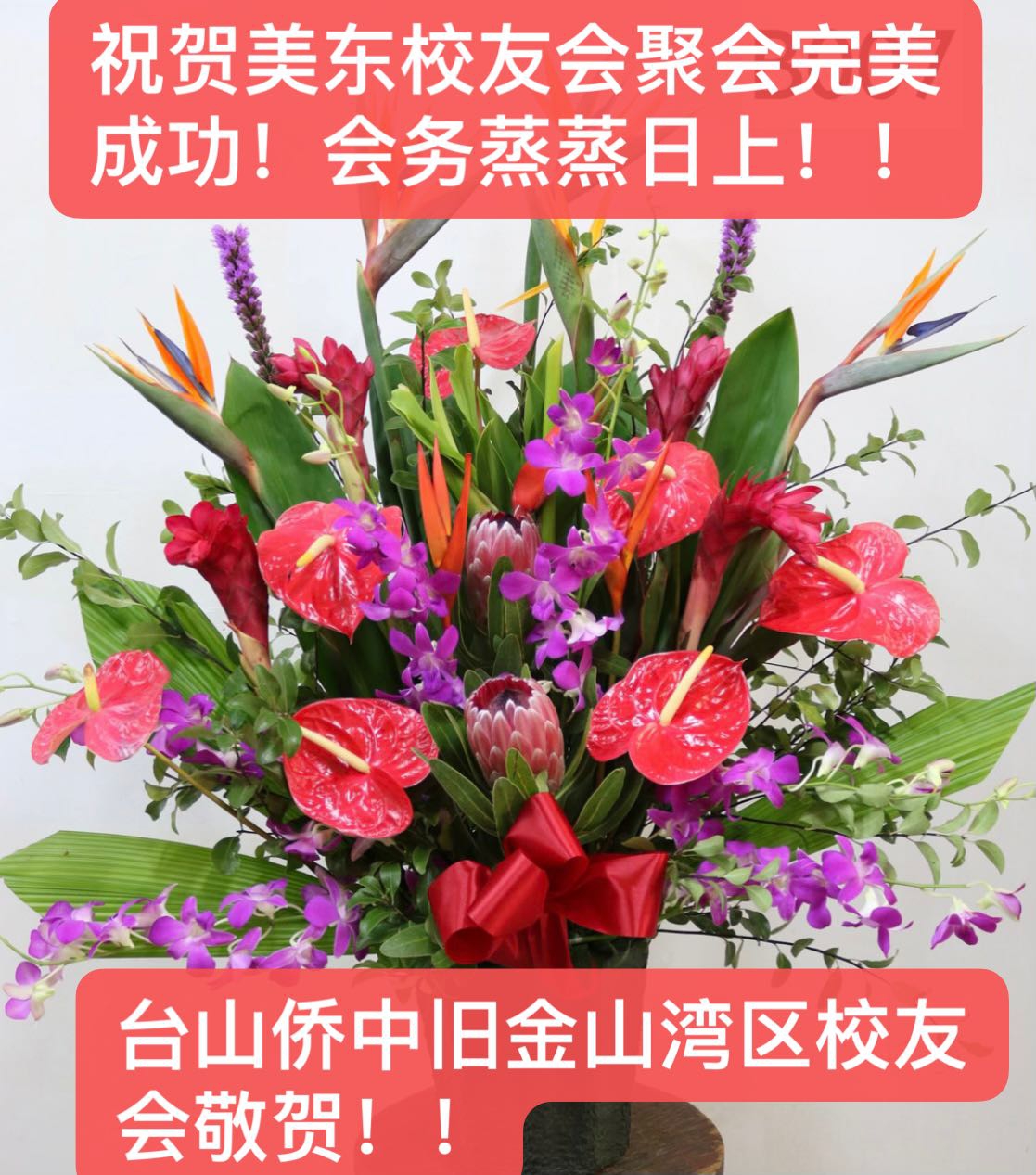 WeChat Image_20231016153602.jpg