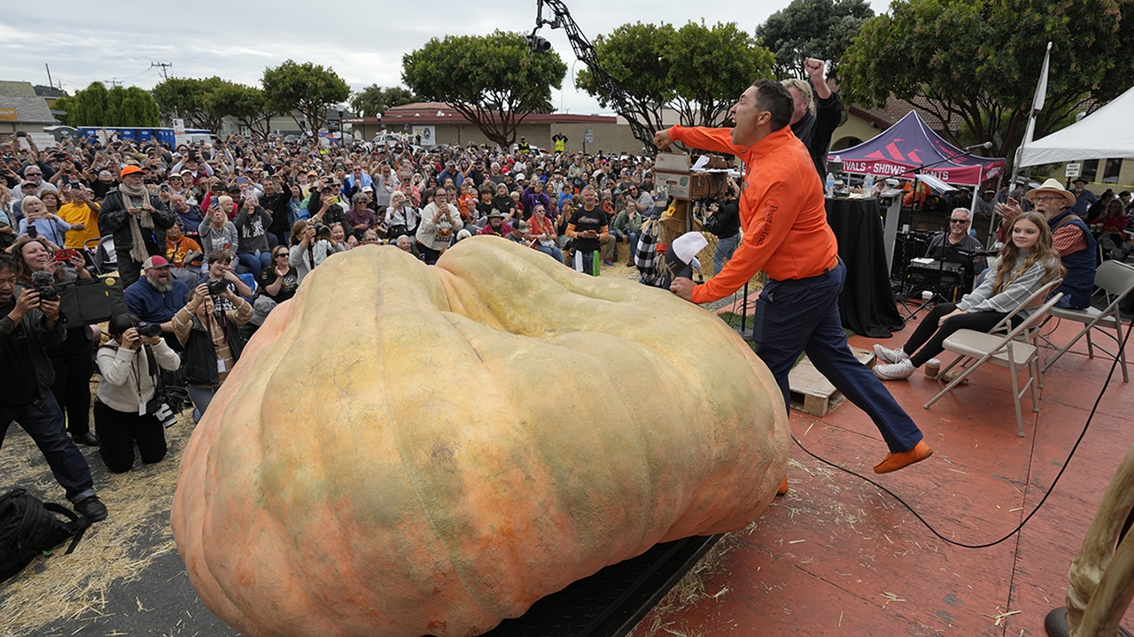 13884154_100923-kgo-ap-pumpkin-weigh-in-travis-gienger-img.jpg