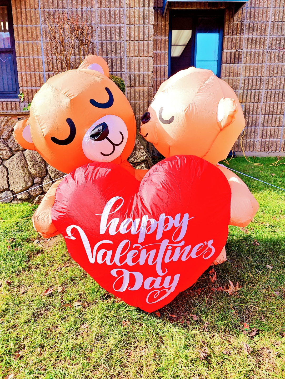IMG20240212103229_����.jpg