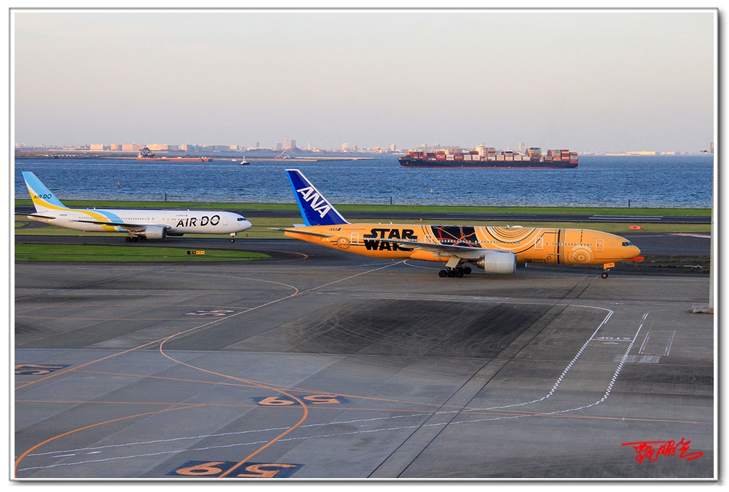 si20357102.jpg