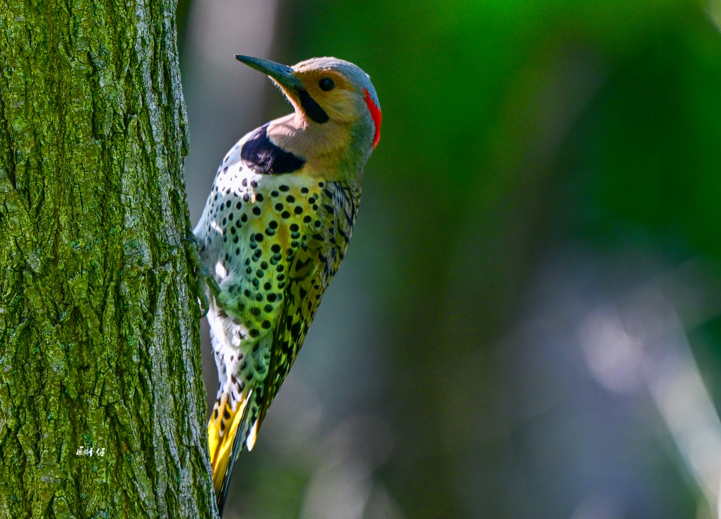 DSC_6184 .jpg