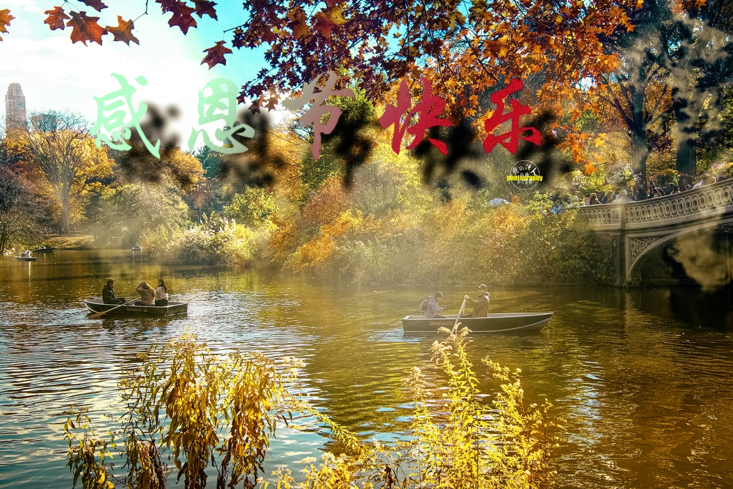 5839.jpg