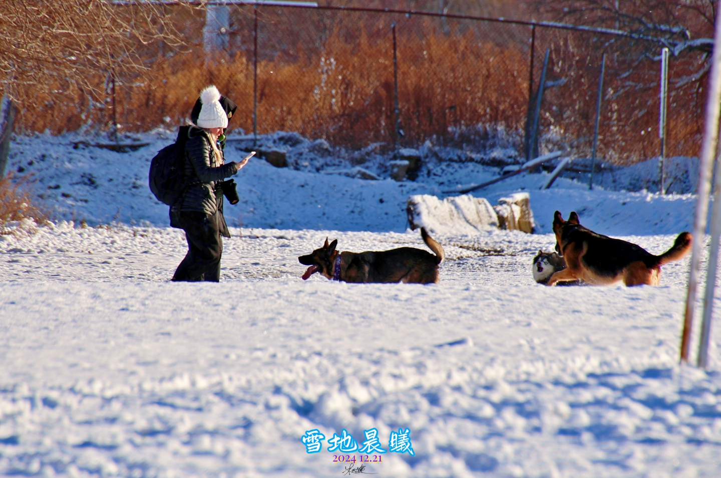 IMG_8792_.jpg