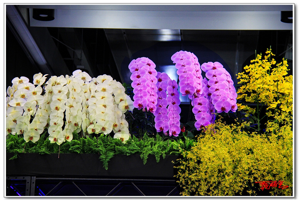 sii2014002.jpg