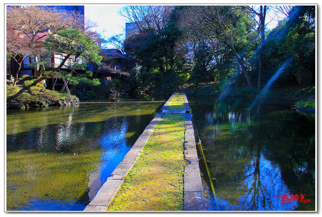 sii2014041.jpg