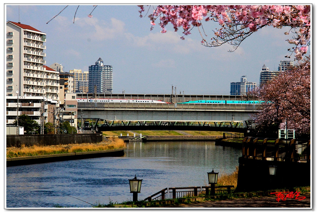 sii20140717.jpg