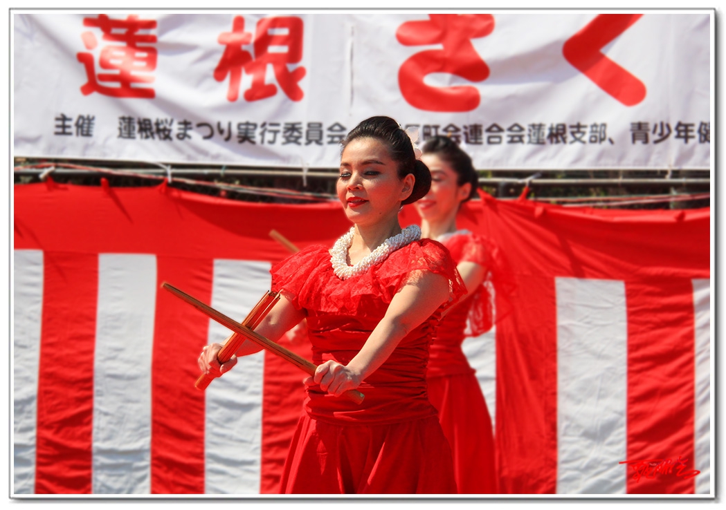 sii20140747.jpg