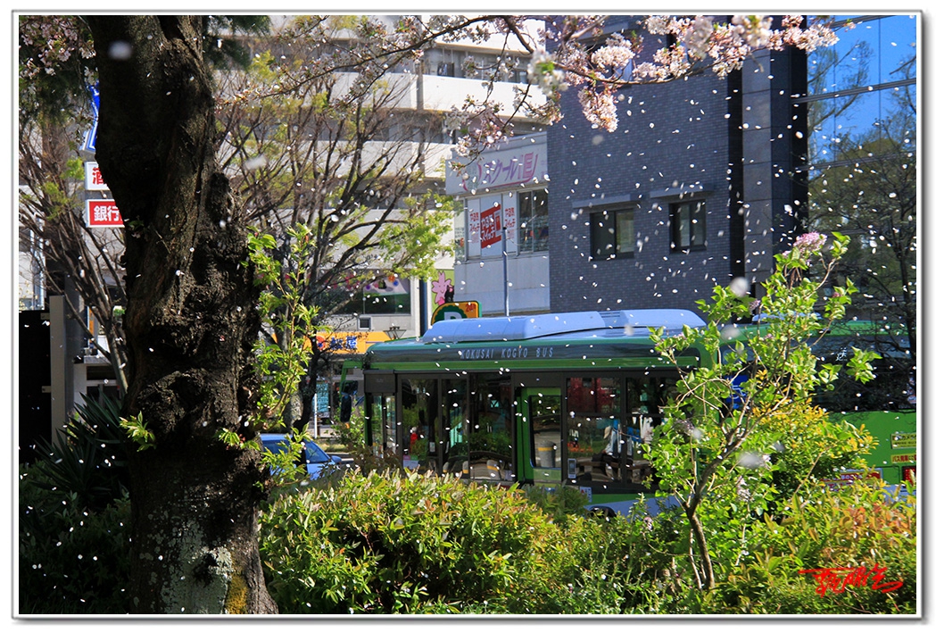 sii20140832.jpg