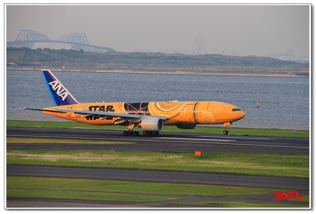 si20357082.jpg