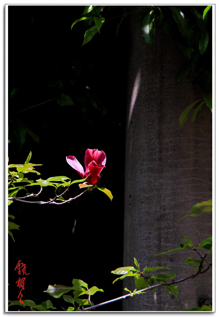 sii20140890.jpg