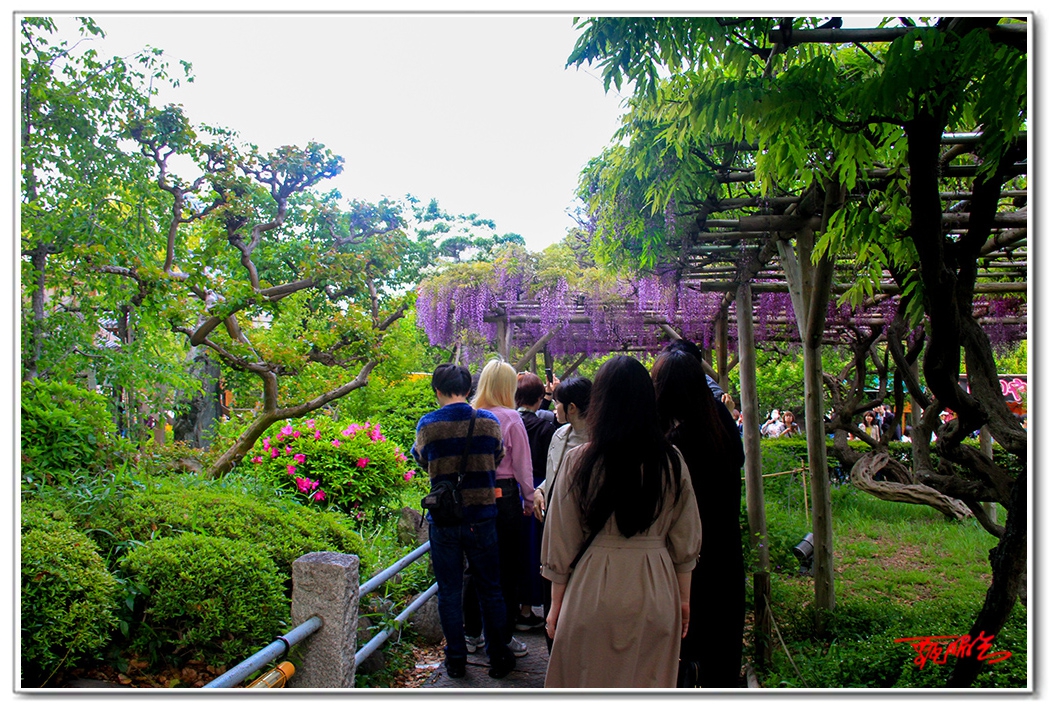 sii20140910.jpg