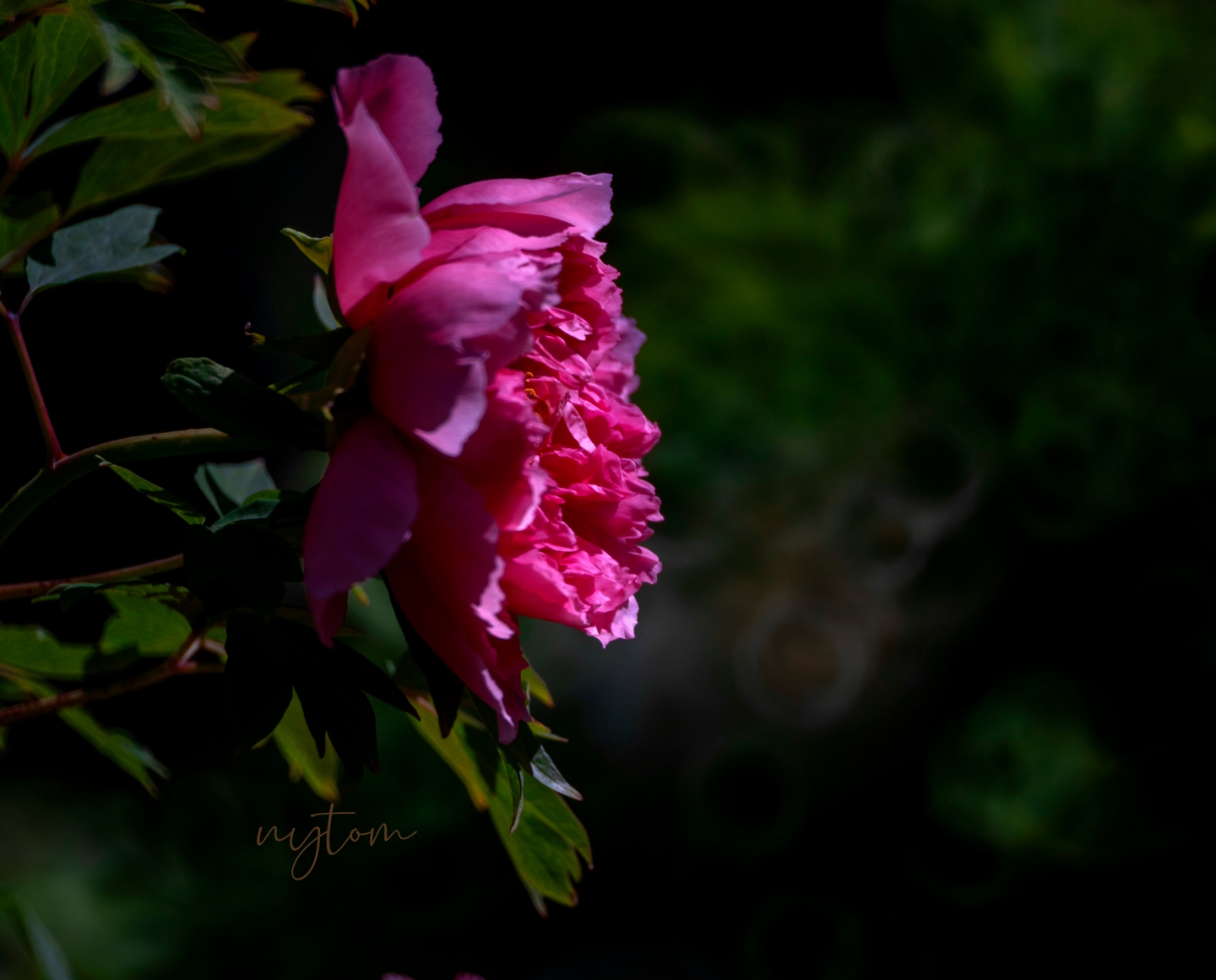 MEITU_20250429_201644922.jpg