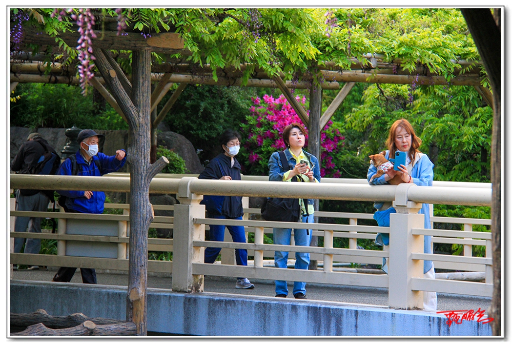 sii20140923.jpg