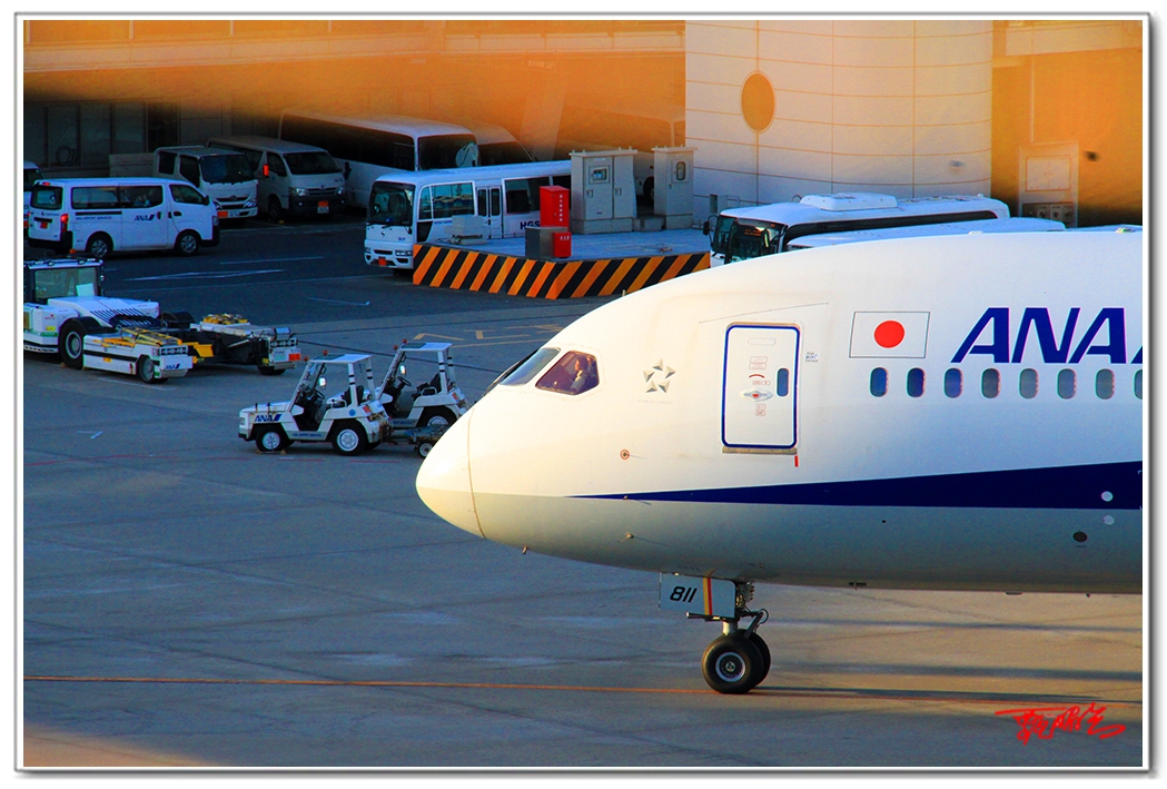 si20357097.jpg