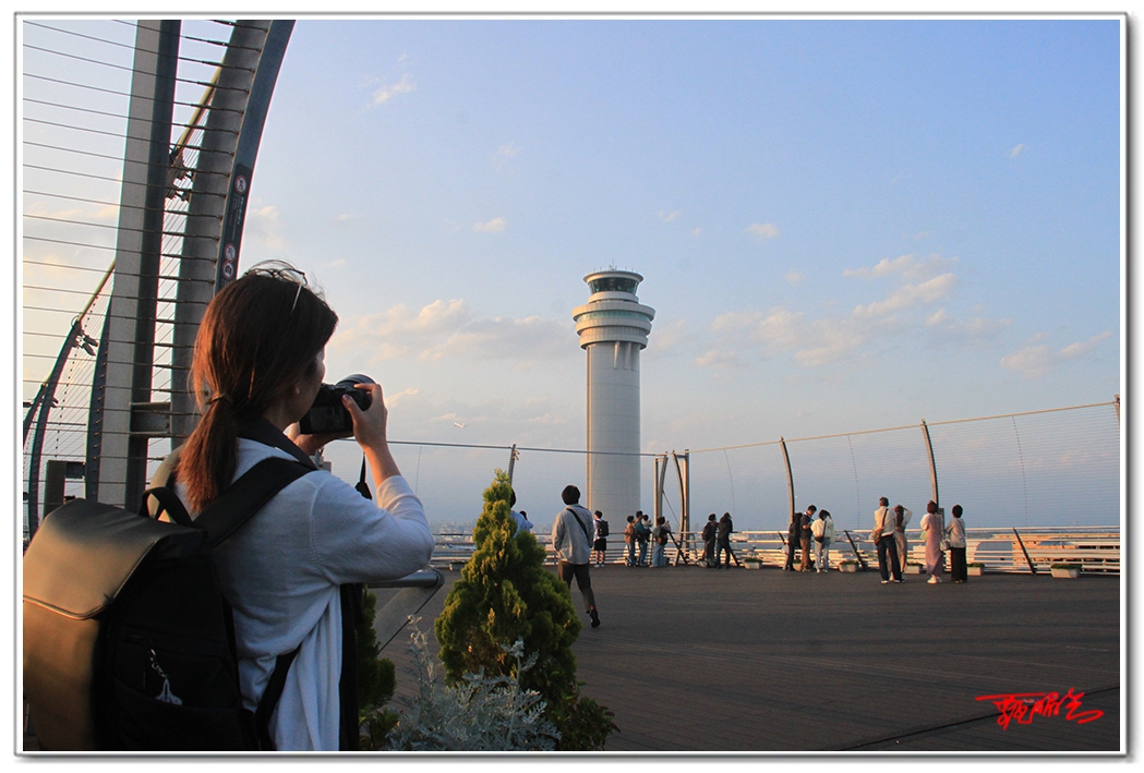 sii201409347.jpg