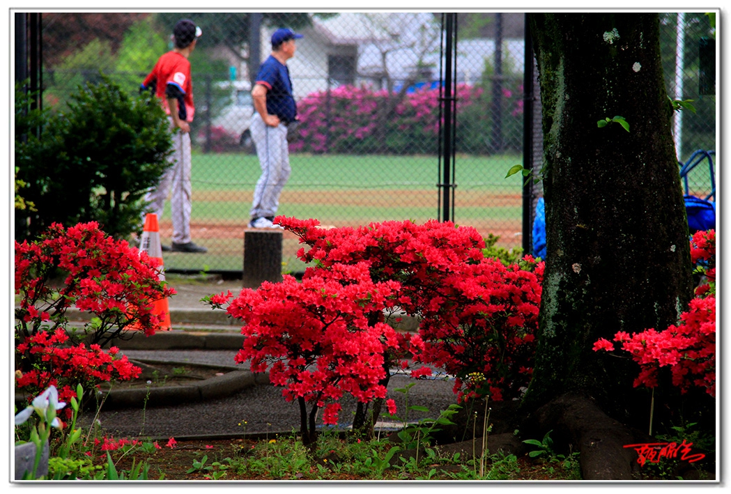sii20140885.jpg