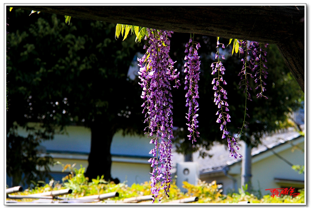 sii2014093838.jpg