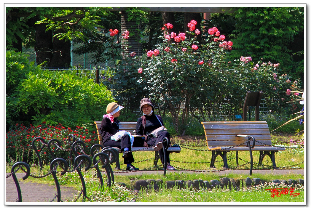 sii2014093850.jpg