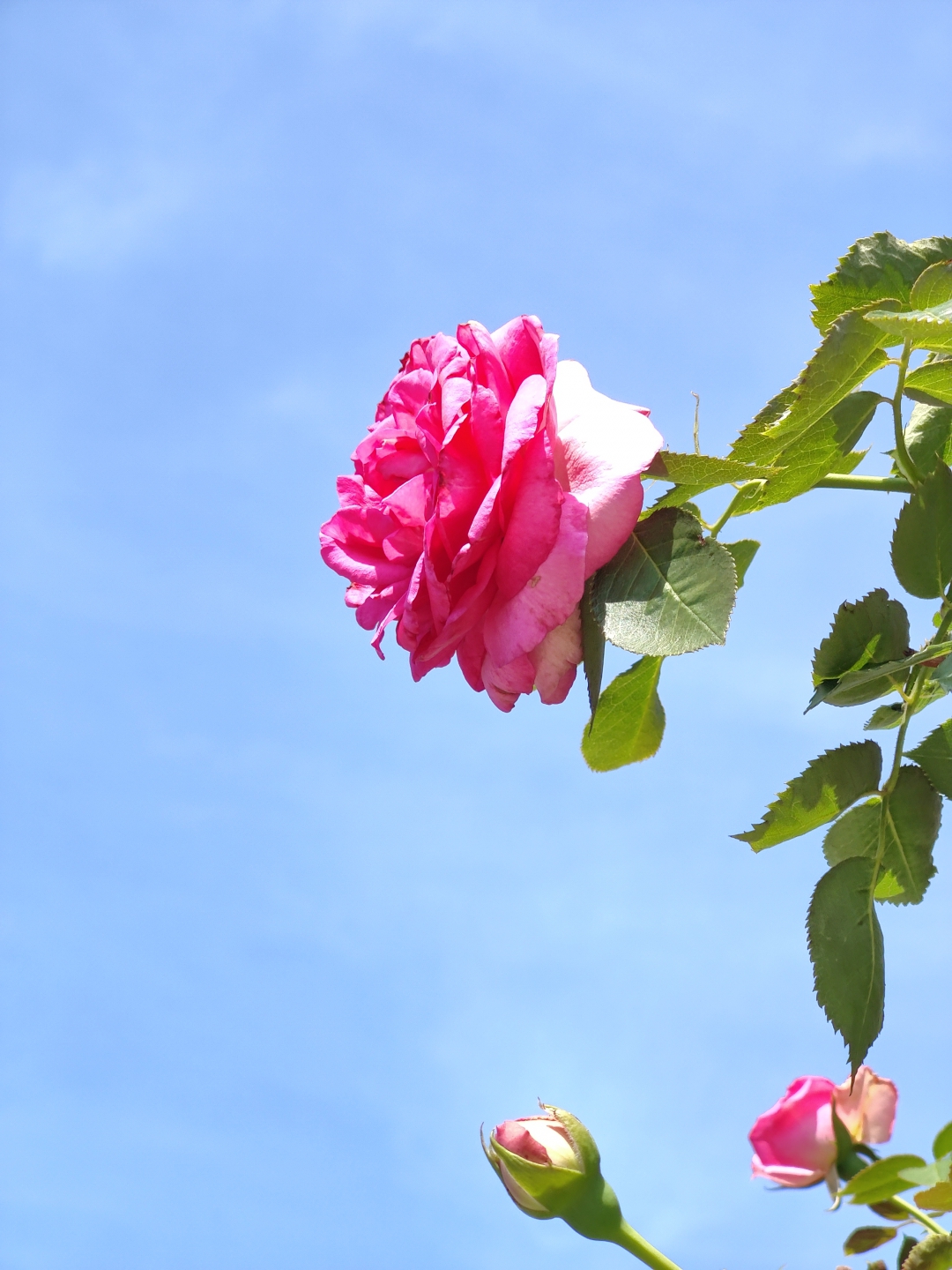 IMG20250705153250.jpg