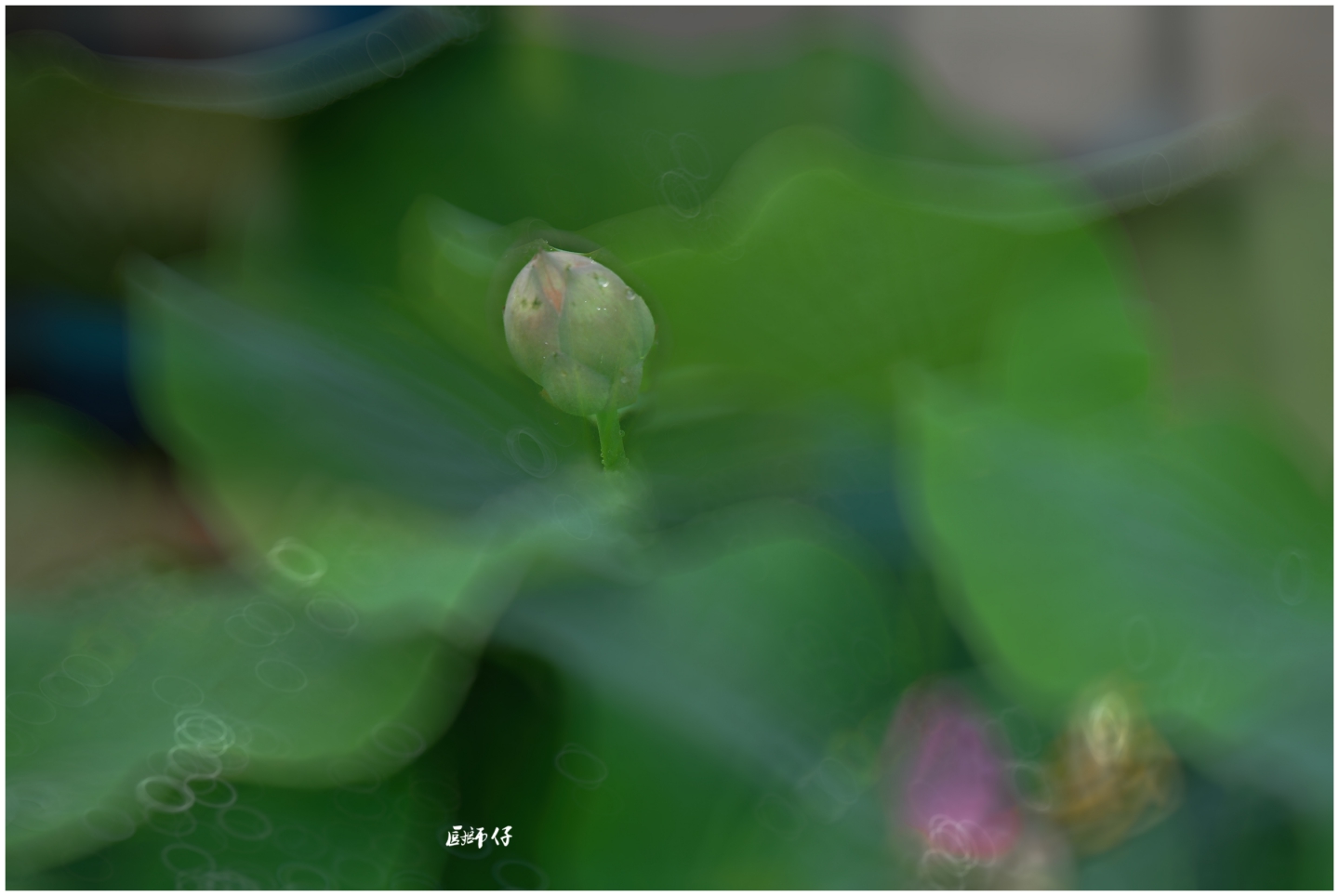 DSC_2787 ����.jpg