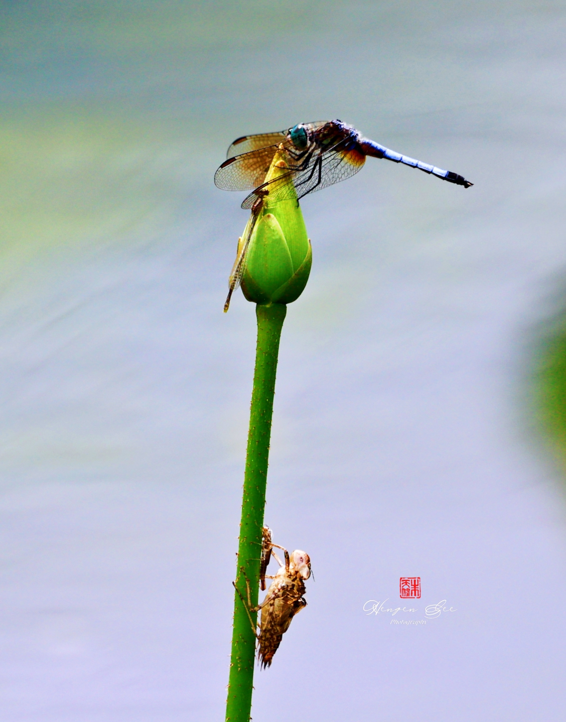 IMG_7011_.jpg