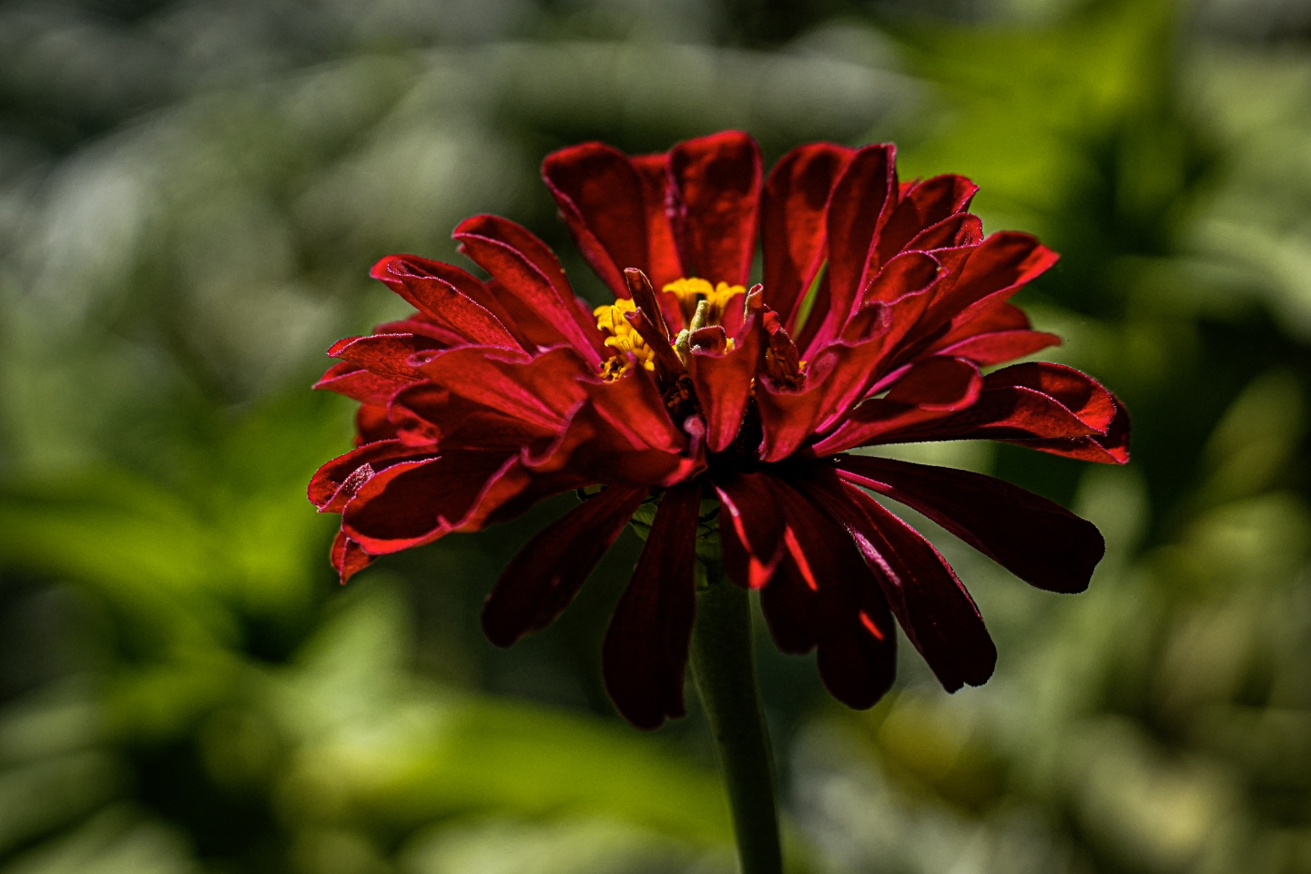_DSC7064.jpg
