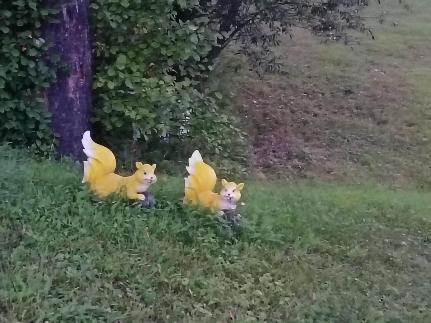 ΢ͼƬ_20251003103604.jpg