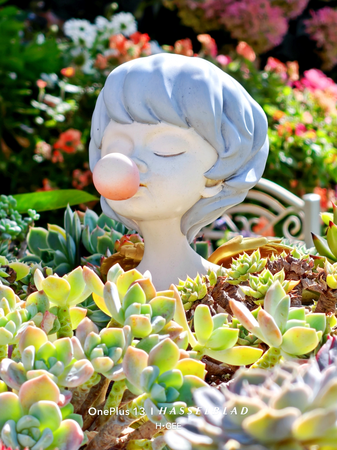 IMG20251002141031 (1)_����.jpg