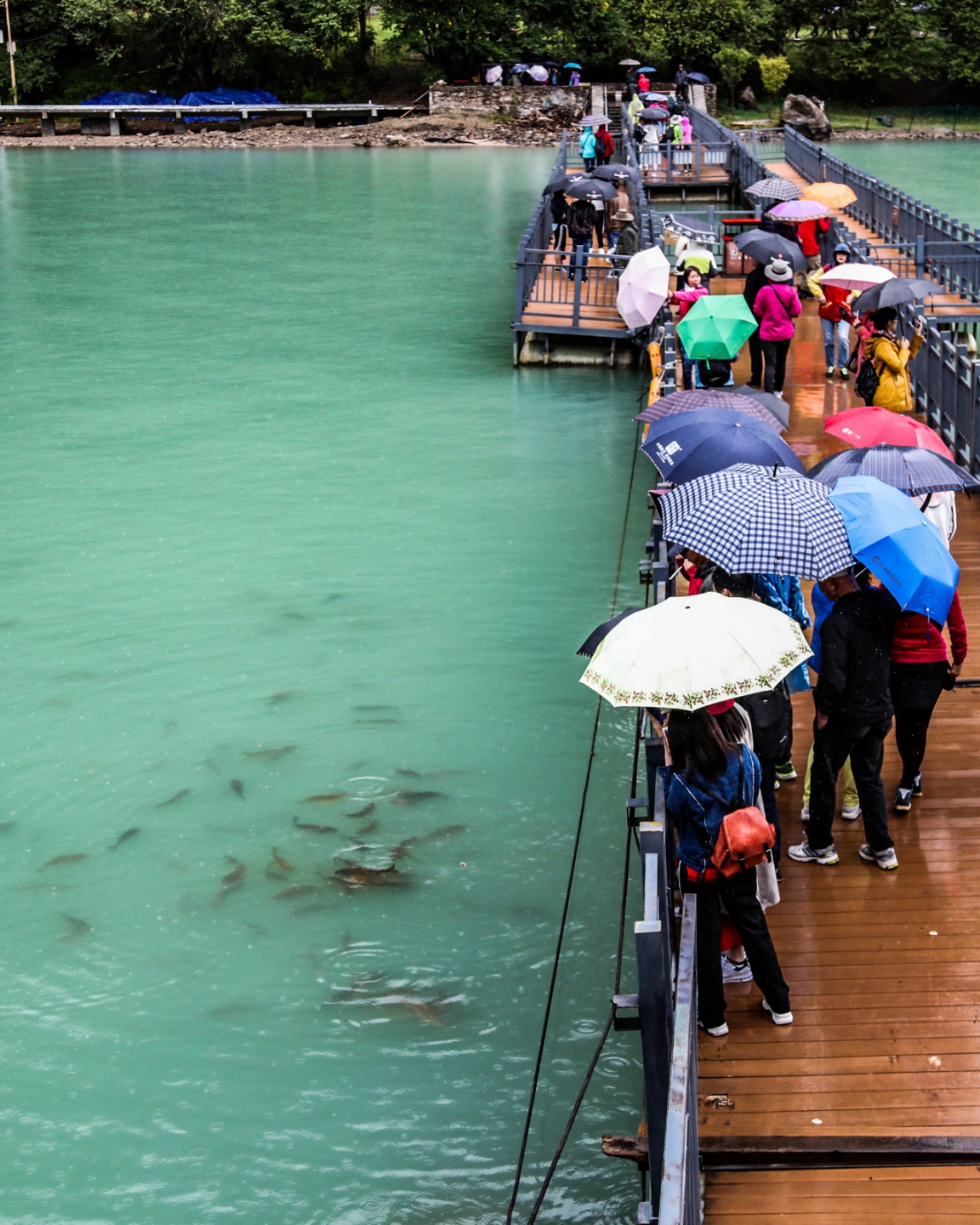 2018_09_10 3007.JPG 2018_09_10 3007.JPG