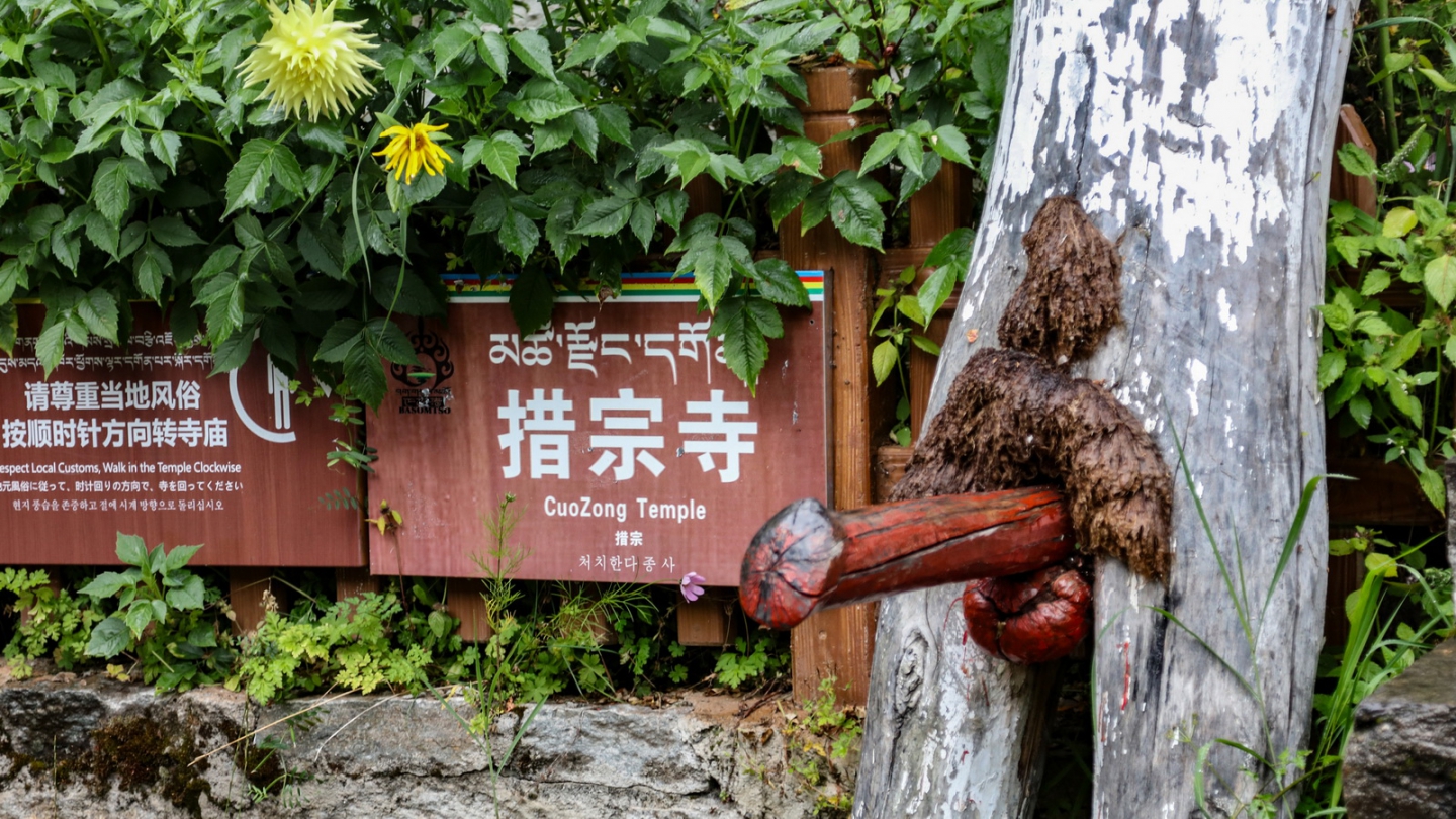 2018_09_10 3011.JPG 2018_09_10 3011.JPG