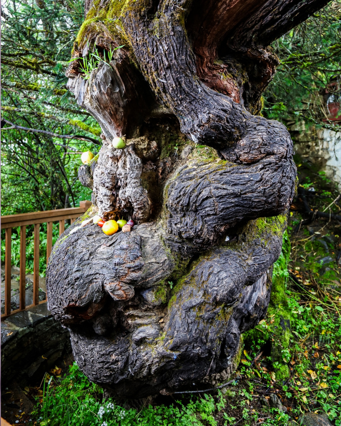 2018_09_10 3012.JPG 2018_09_10 3012.JPG