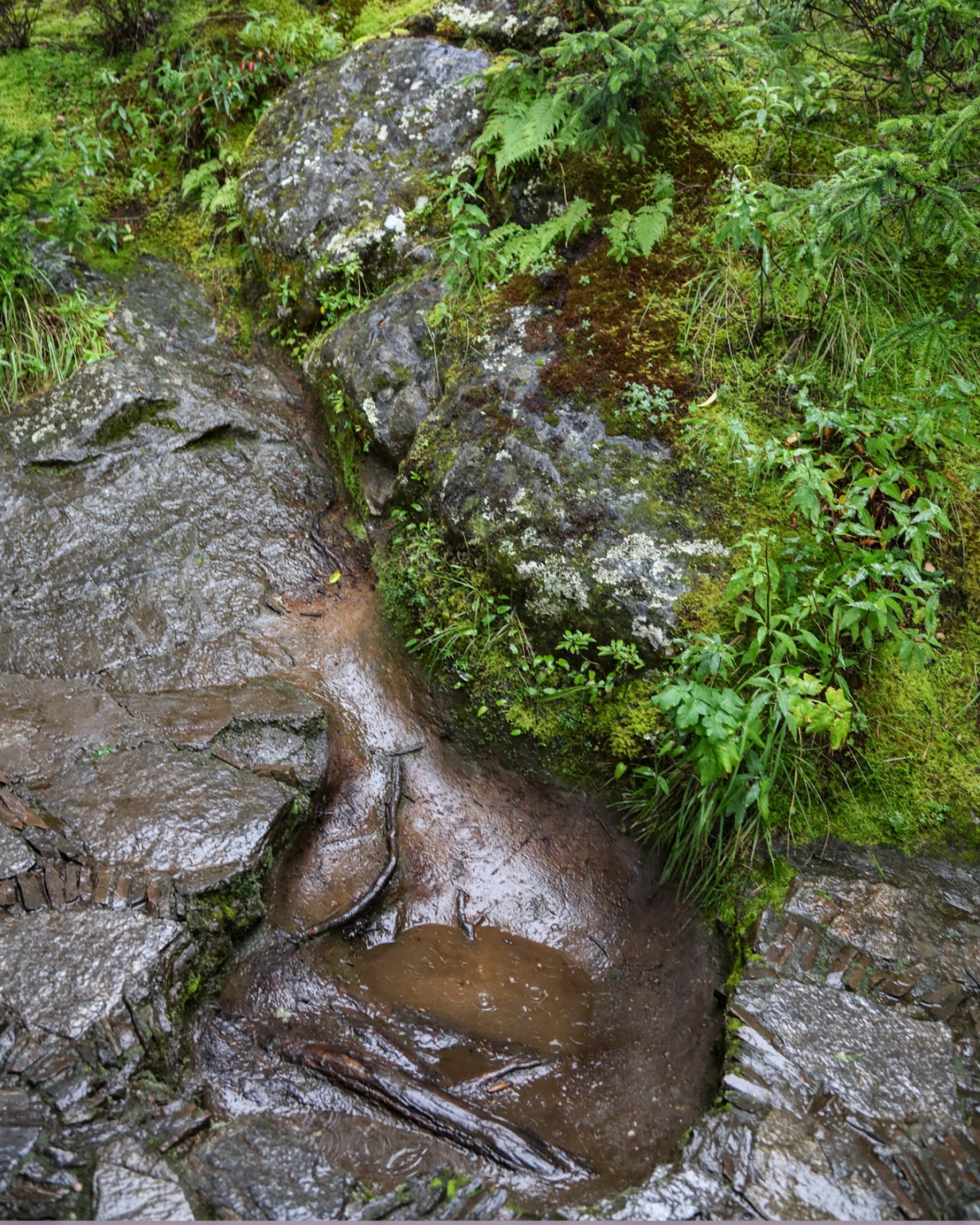 2018_09_10 3015.jpg 2018_09_10 3015.jpg