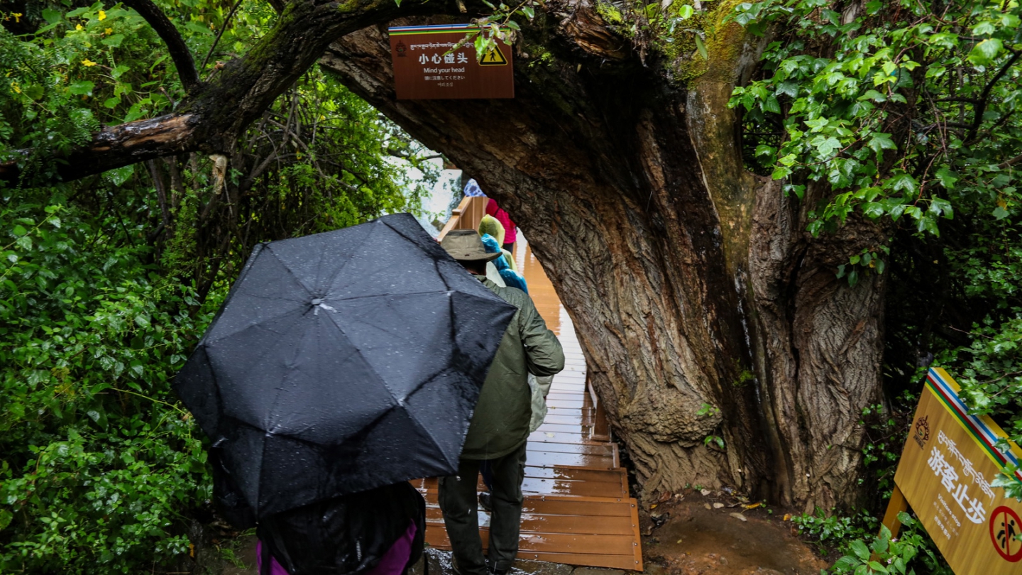 2018_09_10 3018.JPG 2018_09_10 3018.JPG