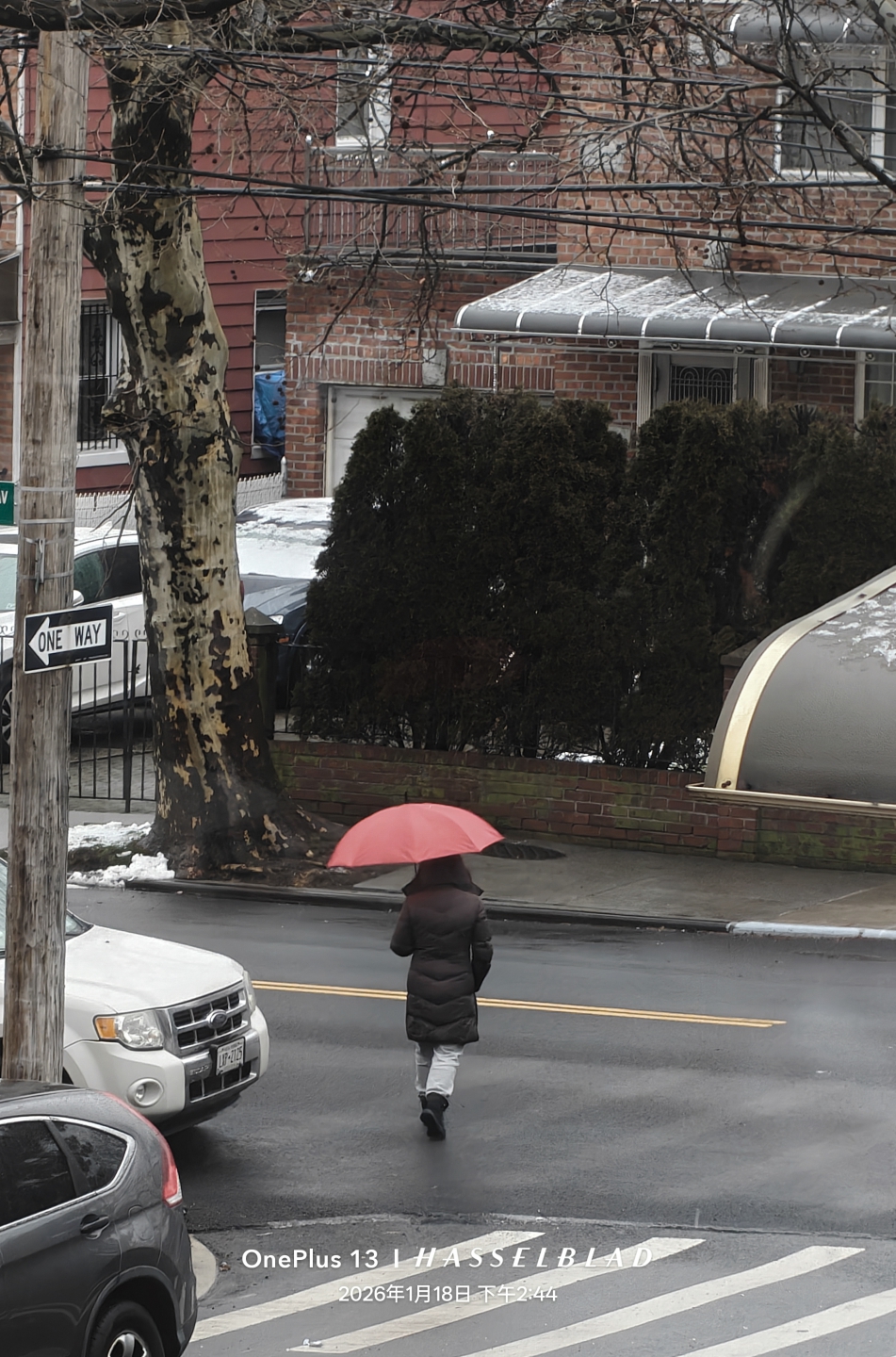 IMG_20260118_192509 (1).jpg