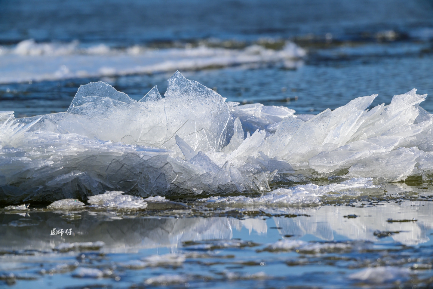 DSC_0567.jpg