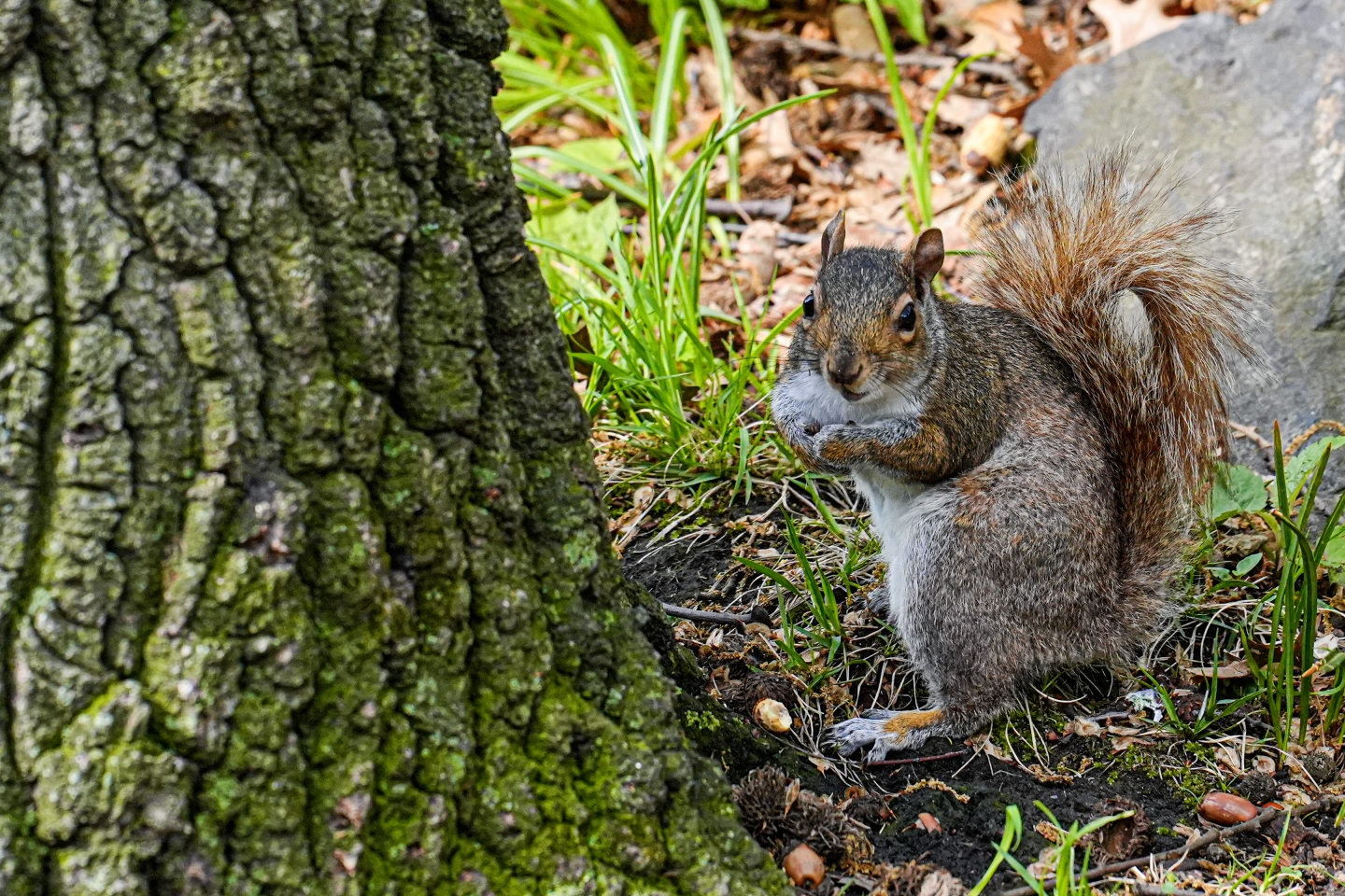 _DSC1662 ��ؐ.jpg