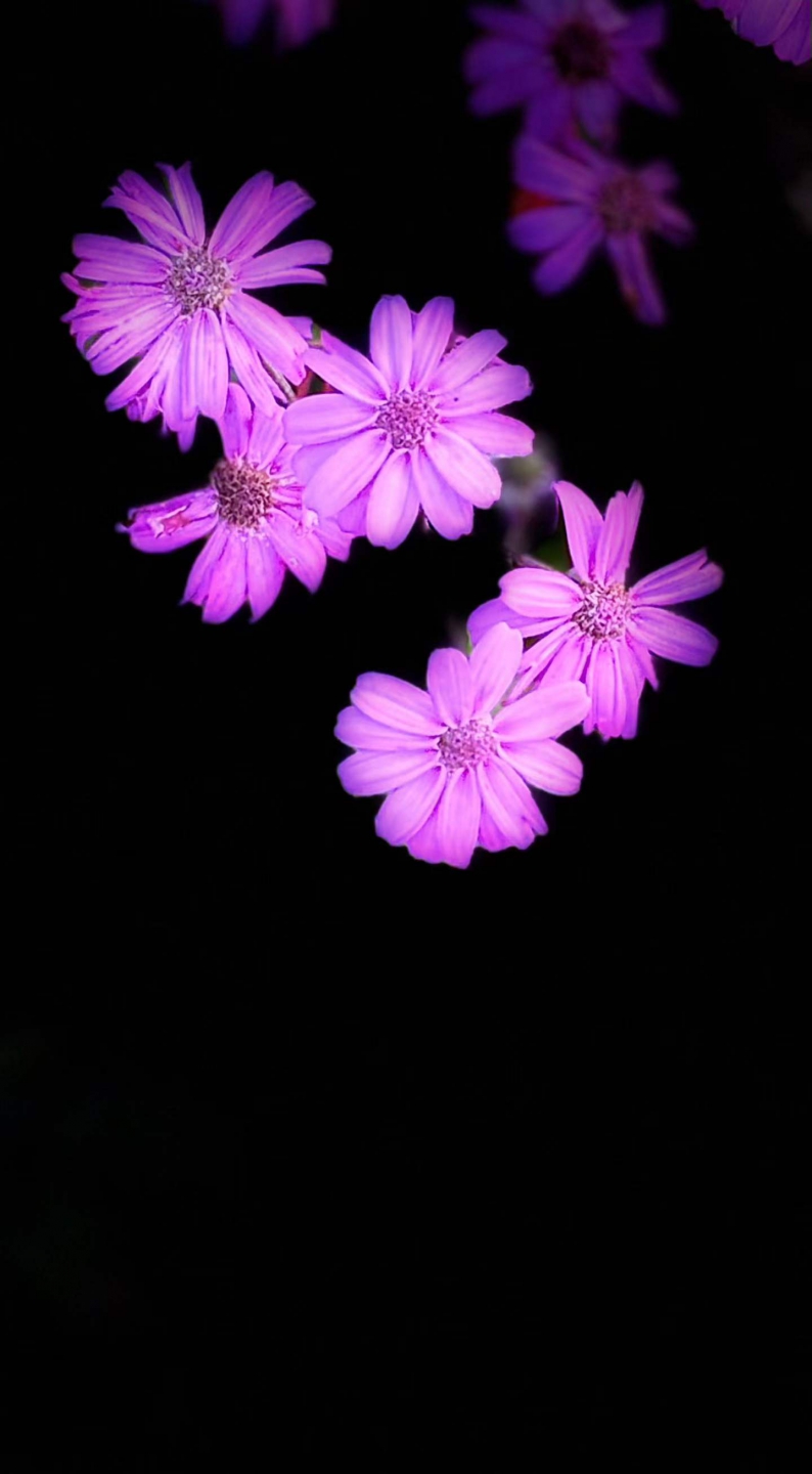 Ұ��.jpg