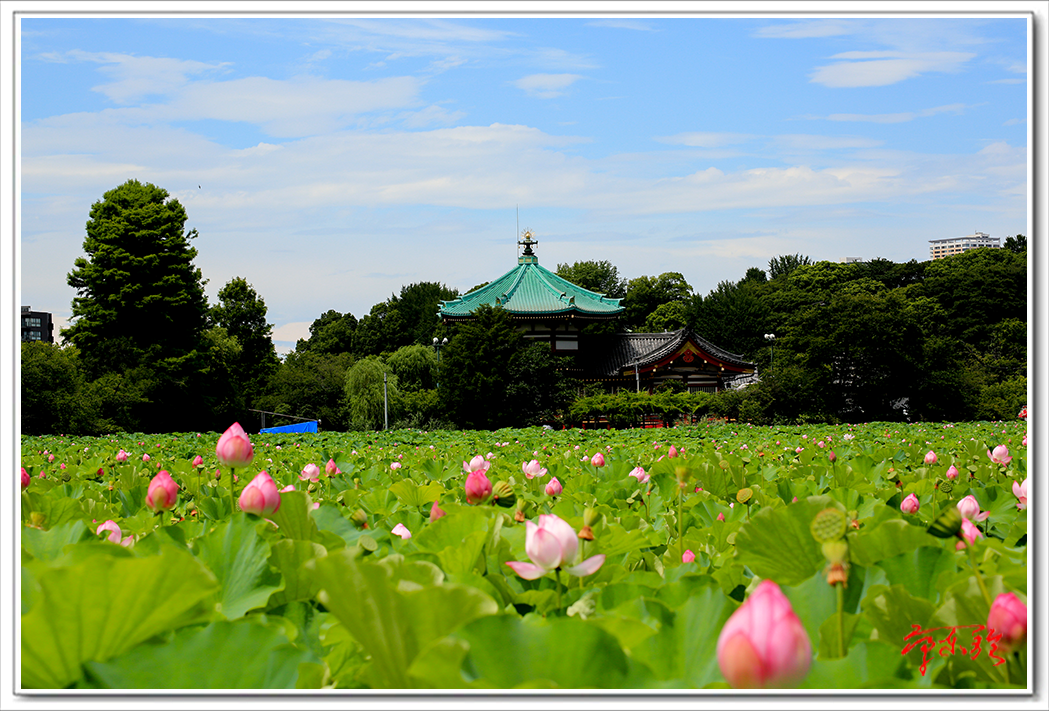 ts0205.png