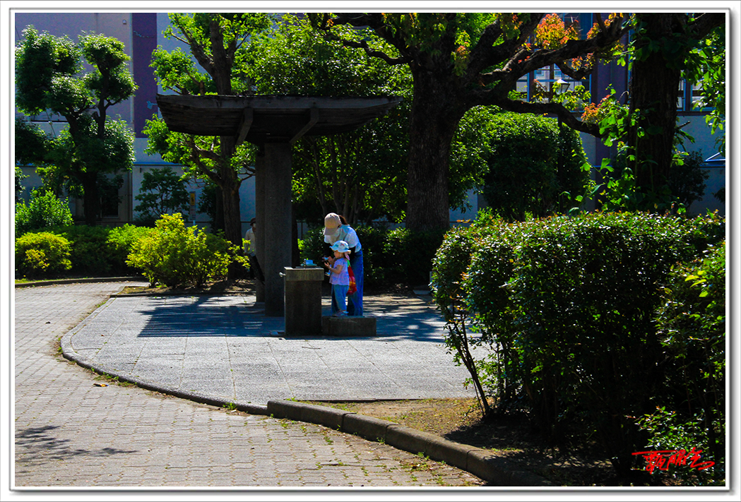 sai00077103.png