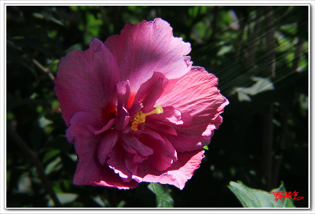 sai000773088.png